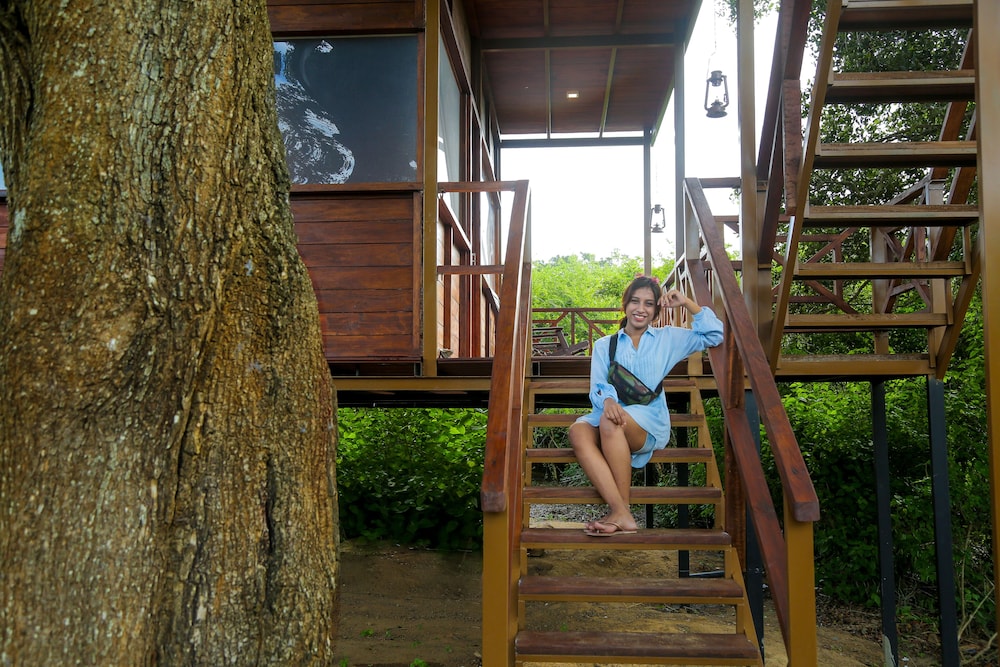 Family Nest photo 3