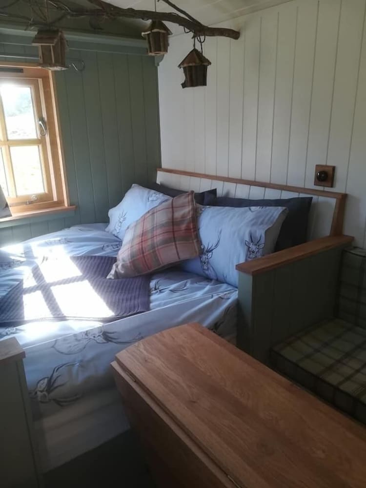 Deluxe Cabin photo 2