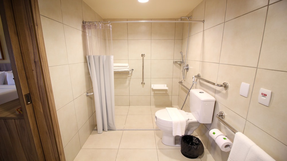 Premium Room, 1 King Bed, Accessible (Wheelchair) - Photo 6