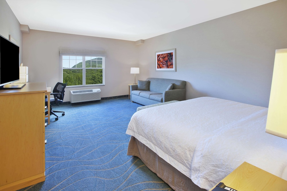 King, Room, Refrigerator, Ocean View photo 2