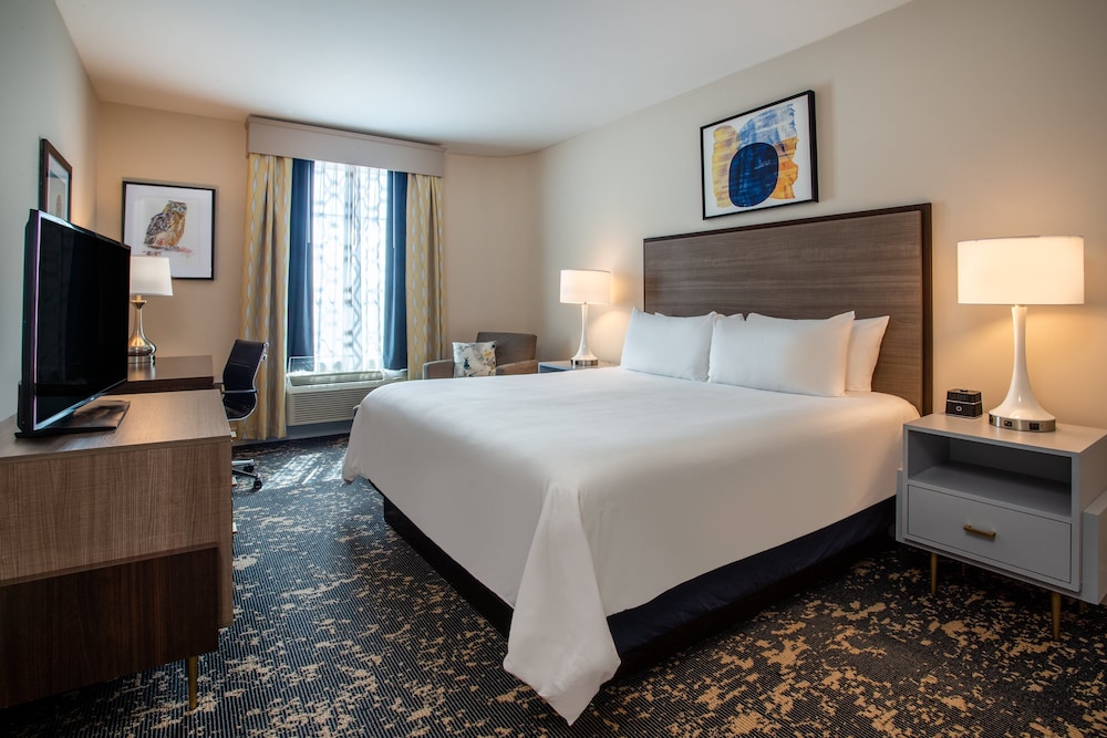 Room, 1 King Bed, Accessible (Communications, Mobil, Roll-In Shower) photo 2