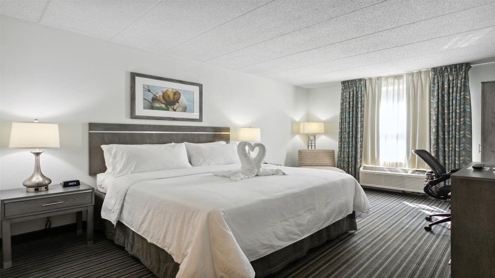 Standard Room, 1 King Bed, Accessible (Communications) - Photo 2