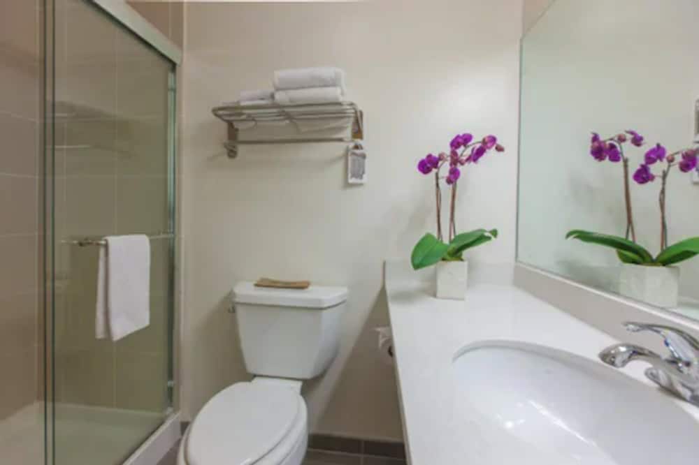 Deluxe Double Room - Photo 5