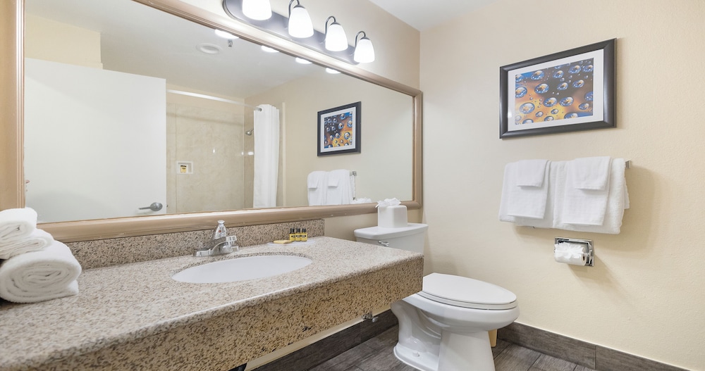 Standard Room, 1 King Bed, Non Smoking, Refrigerator- Pool View - Photo 6