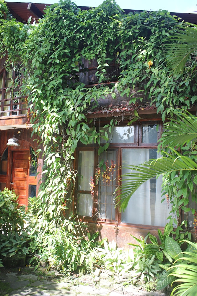 Cabin photo 2