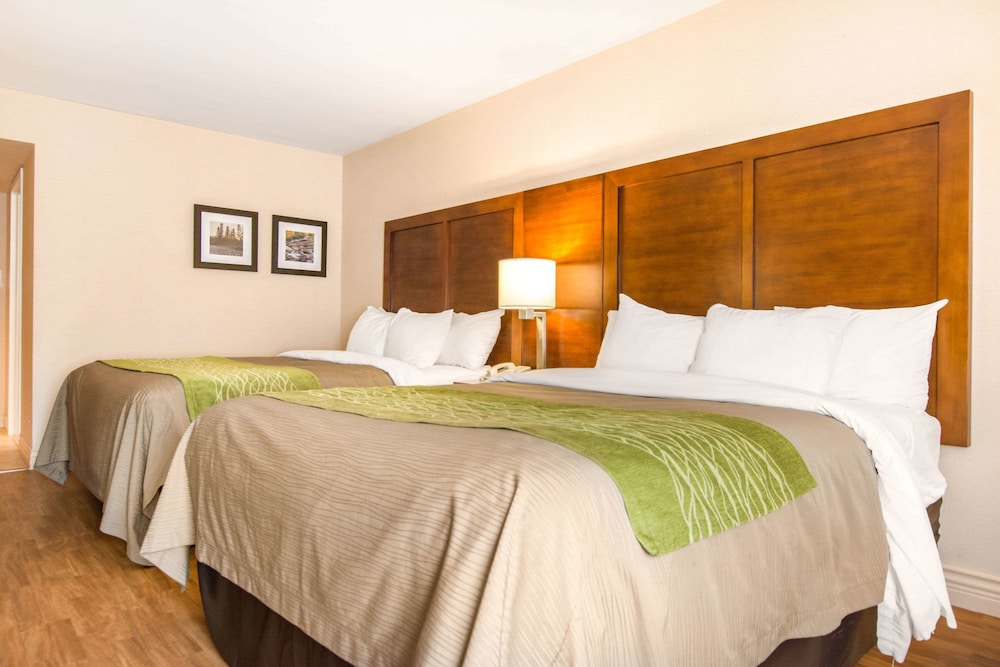 Standard Room, 2 Queen Beds, Non Smoking - Photo 2