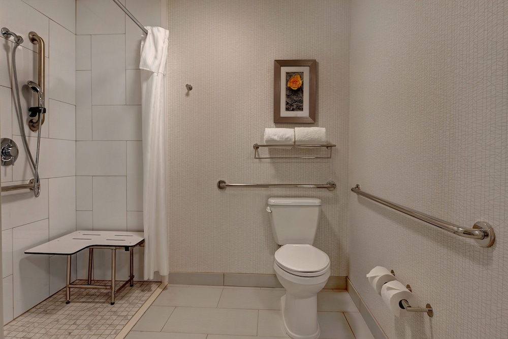 Studio, 1 King Bed, Accessible (Roll-In Shower) - Photo 4