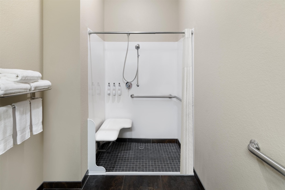 Standard Room, 1 King Bed, Accessible, Refrigerator & Microwave (Walk-in Shower;with Sofabed) - Photo 4