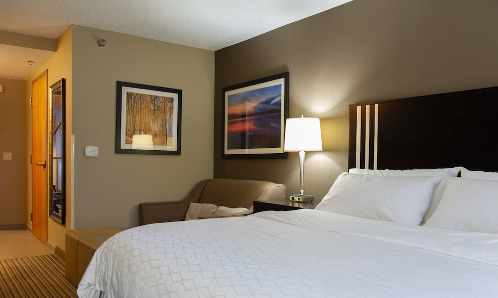 Suite, 1 King Bed, Lake View (Additional Living Area) - Photo 1