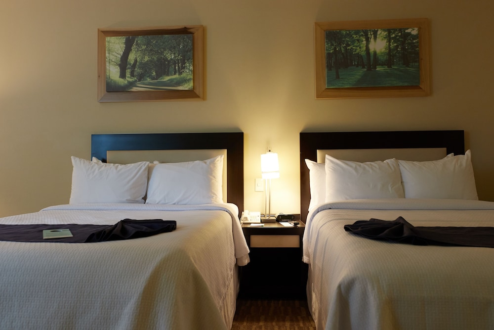 Standard Room, 2 Double Beds photo 1