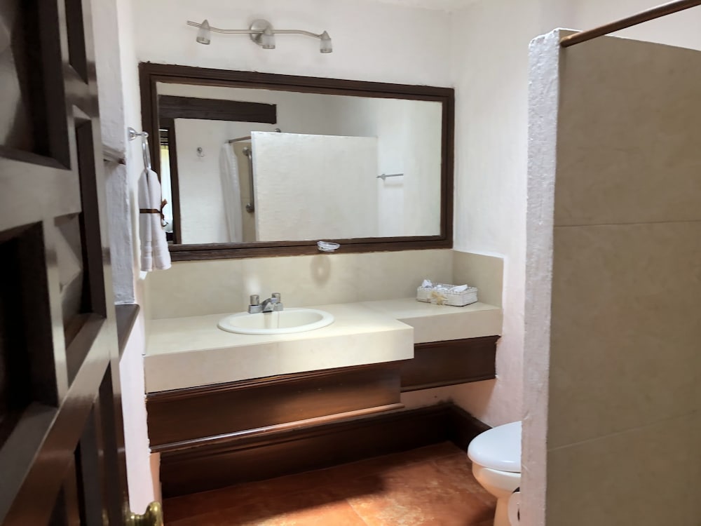 Standard Double Room, 1 King Bed