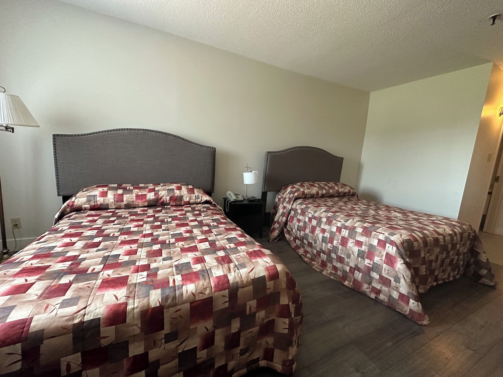 Basic Double Room photo 3