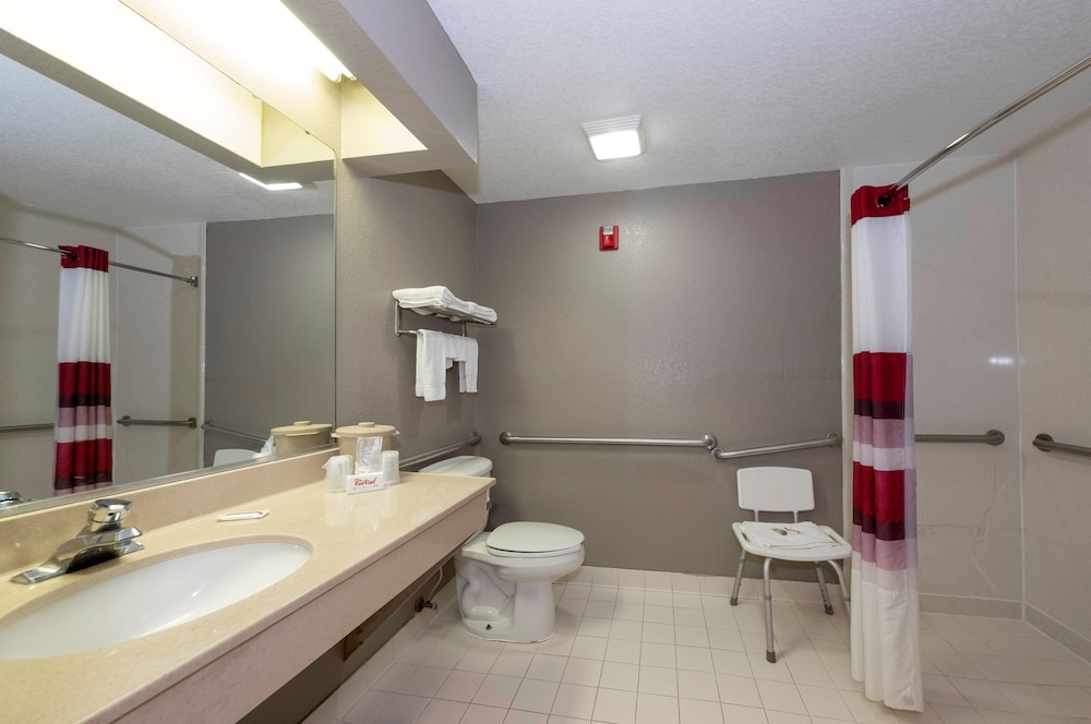 Standard Room, 1 King Bed, Accessible, Non Smoking (Roll-In Shower) - Photo 10