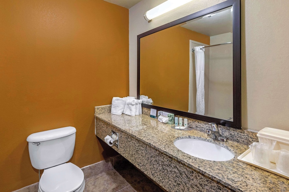 Suite, 1 Bedroom - Photo 3