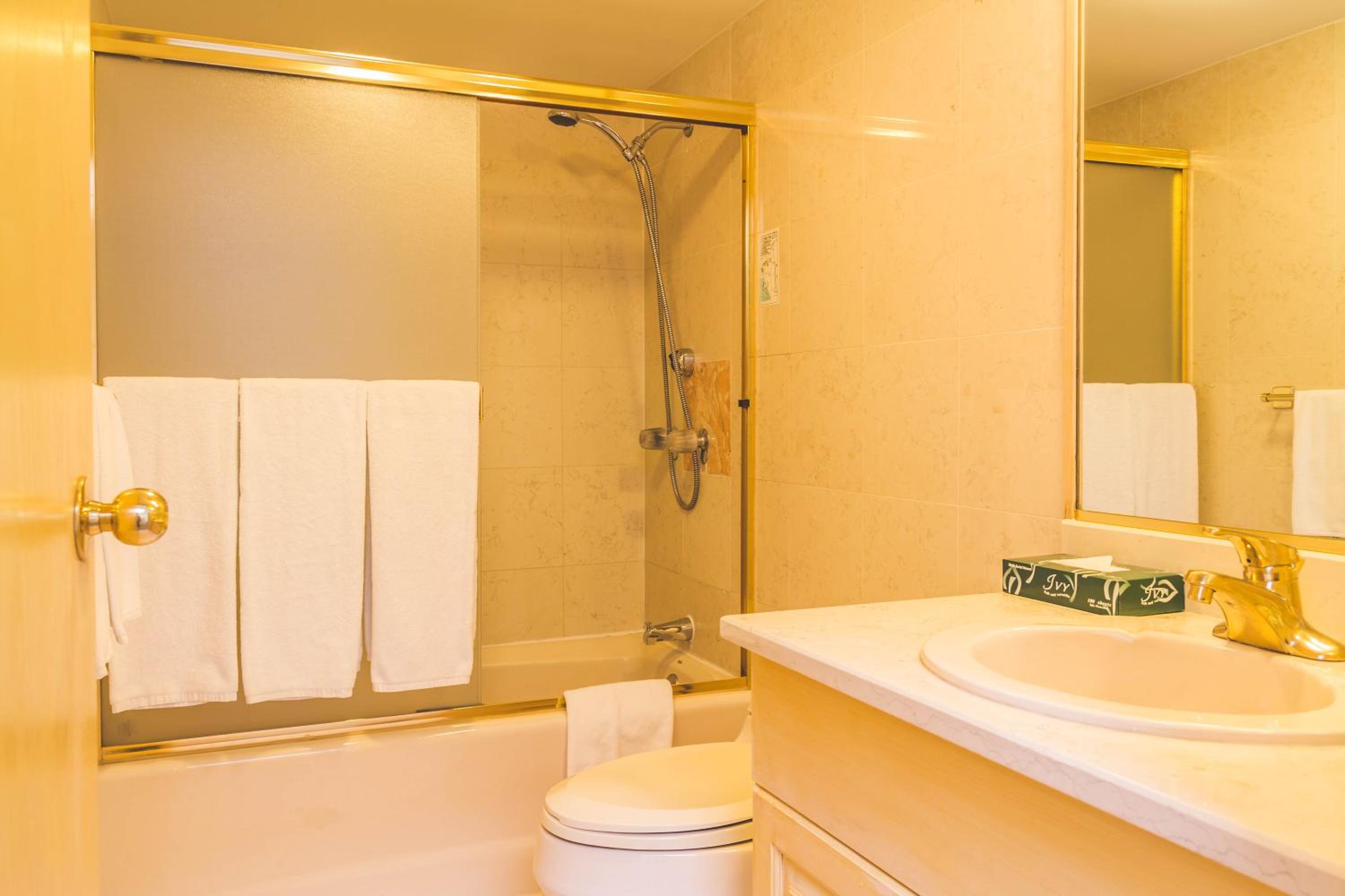 Two-Bedroom Apartment (Diamond Suite Deluxe) photo 2
