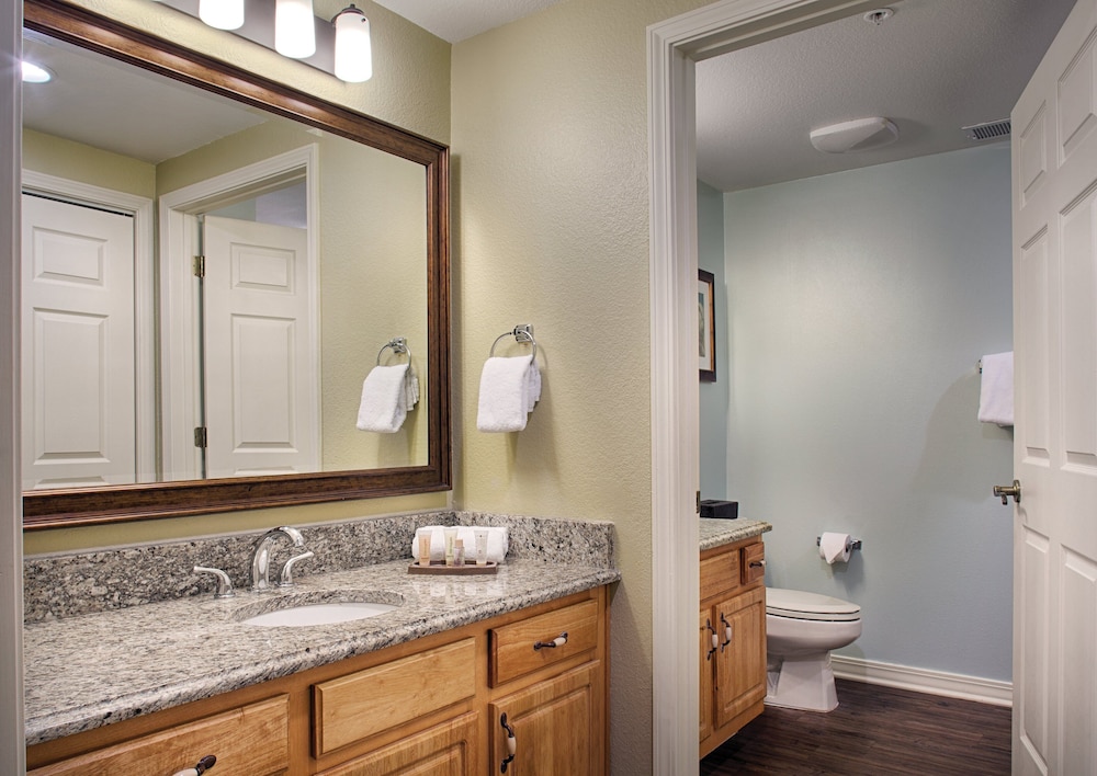 Suite, 1 Bedroom - Photo 4