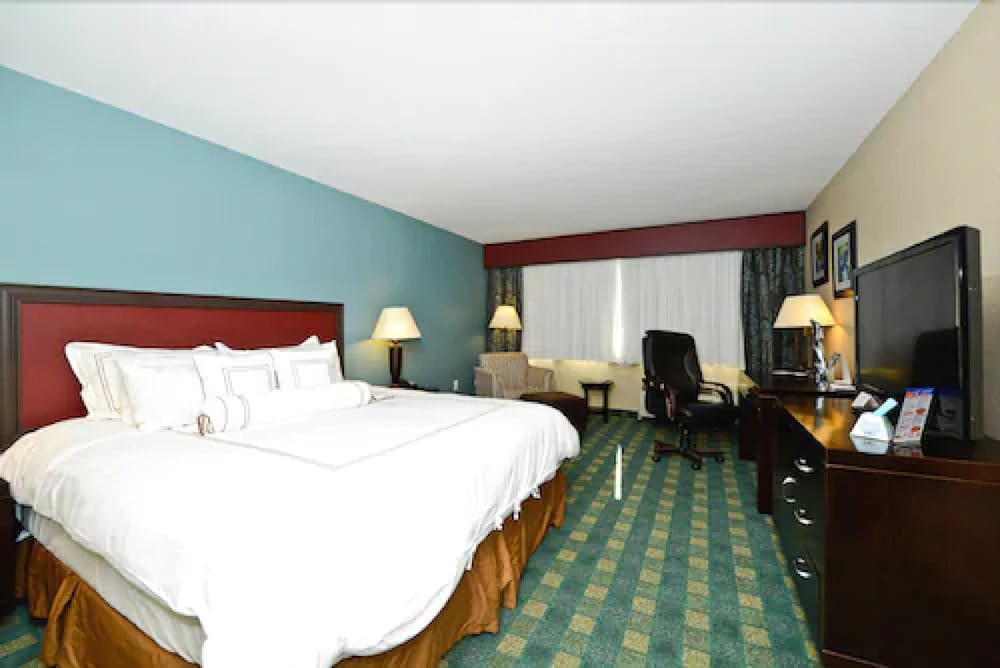 Deluxe Room, 1 King Bed photo 3