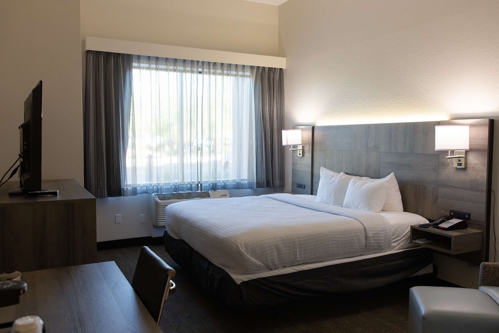 Standard Room, 1 King Bed, Accessible, Kitchenette - Photo 5