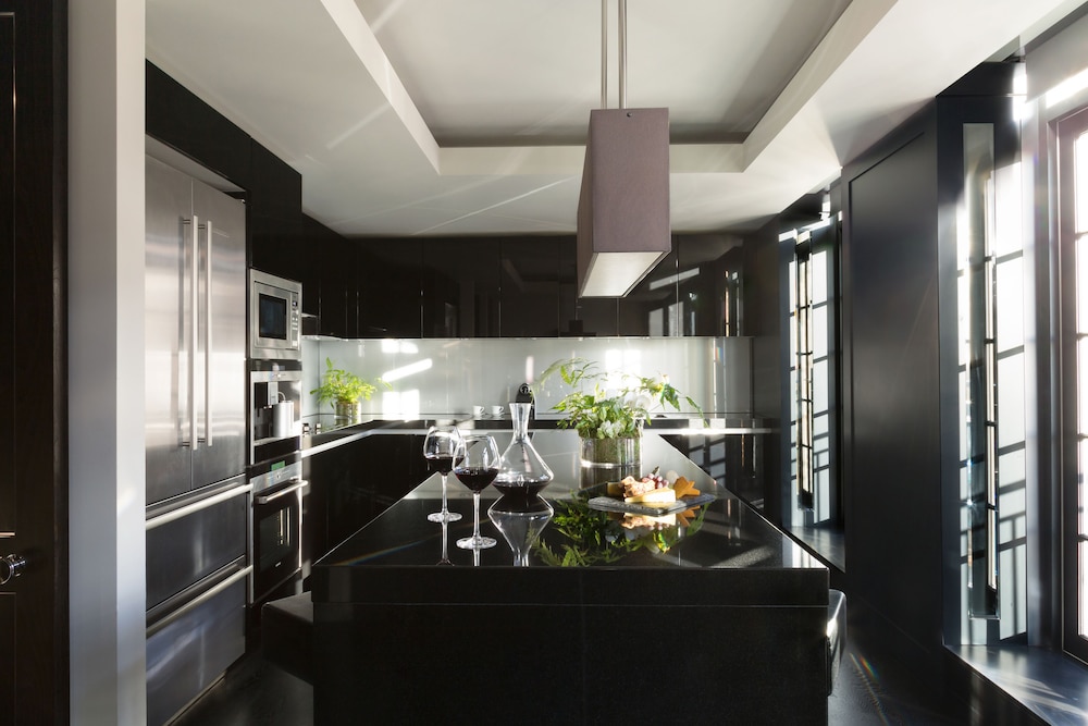 Mayfair Penthouse photo 3