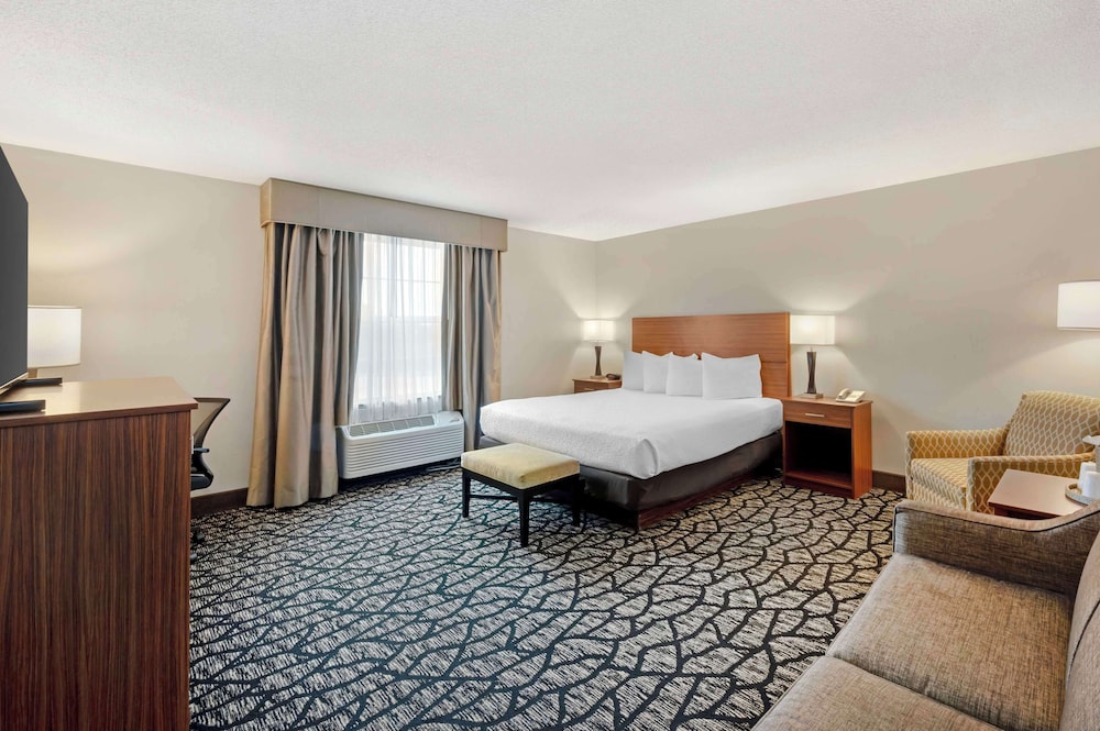 Standard Room, 1 King Bed, Non Smoking, Jetted Tub - Photo 2