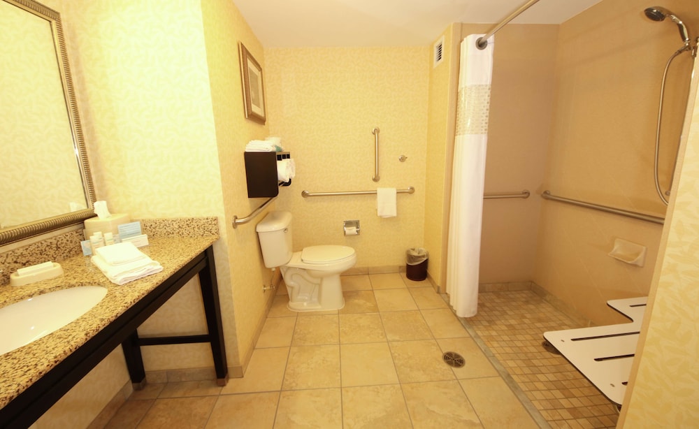 Room, 1 King Bed, Accessible, Non Smoking - Photo 5
