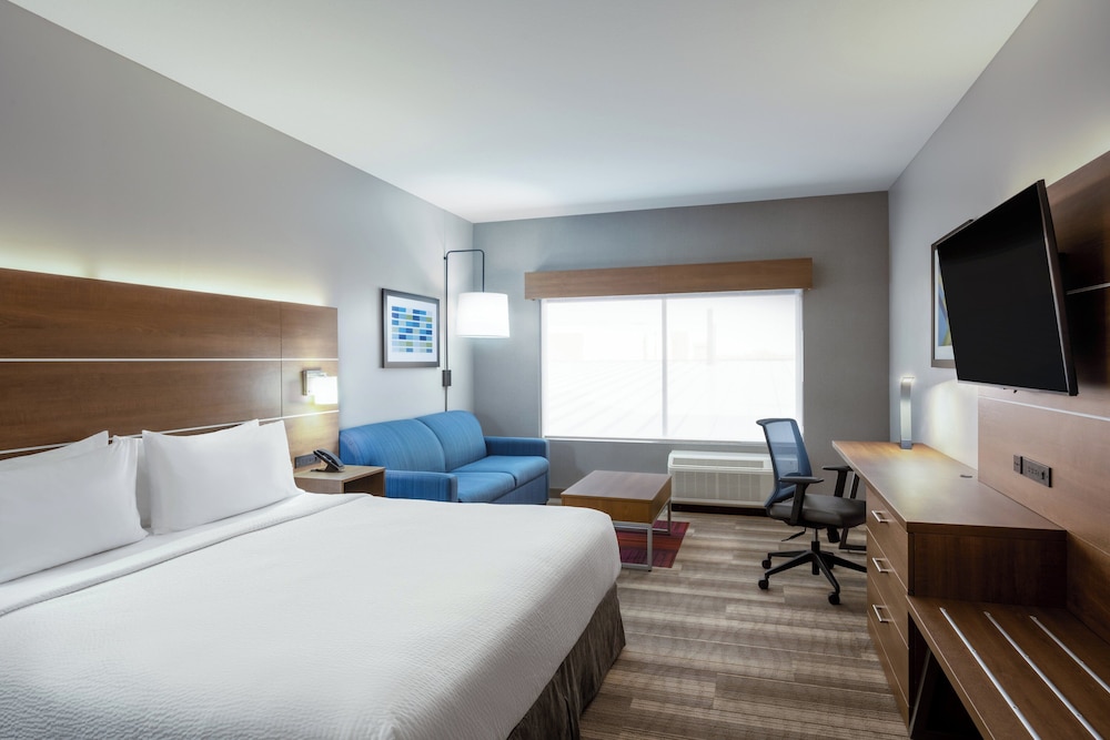 Suite, 1 King Bed, Accessible (Mobil Roll Shower) - Photo 6