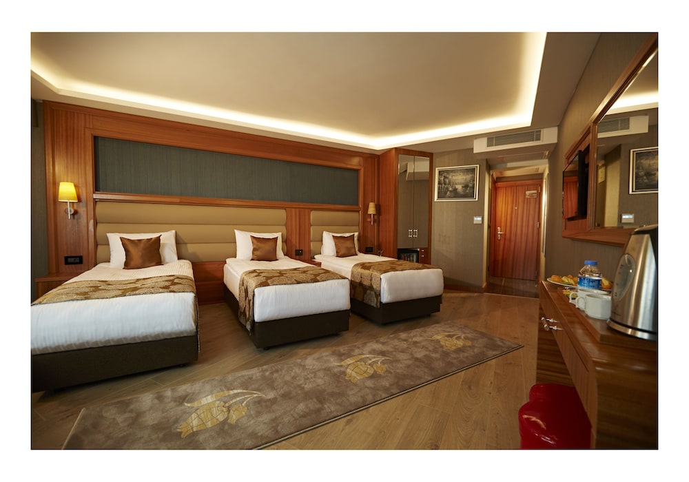 Economy Room, 1 Double Or 2 Twin Beds, Park View photo 3