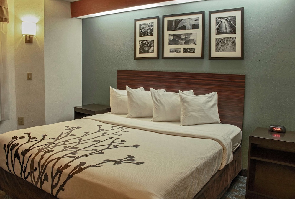 Standard Room, 1 King Bed, Non Smoking - Photo 5