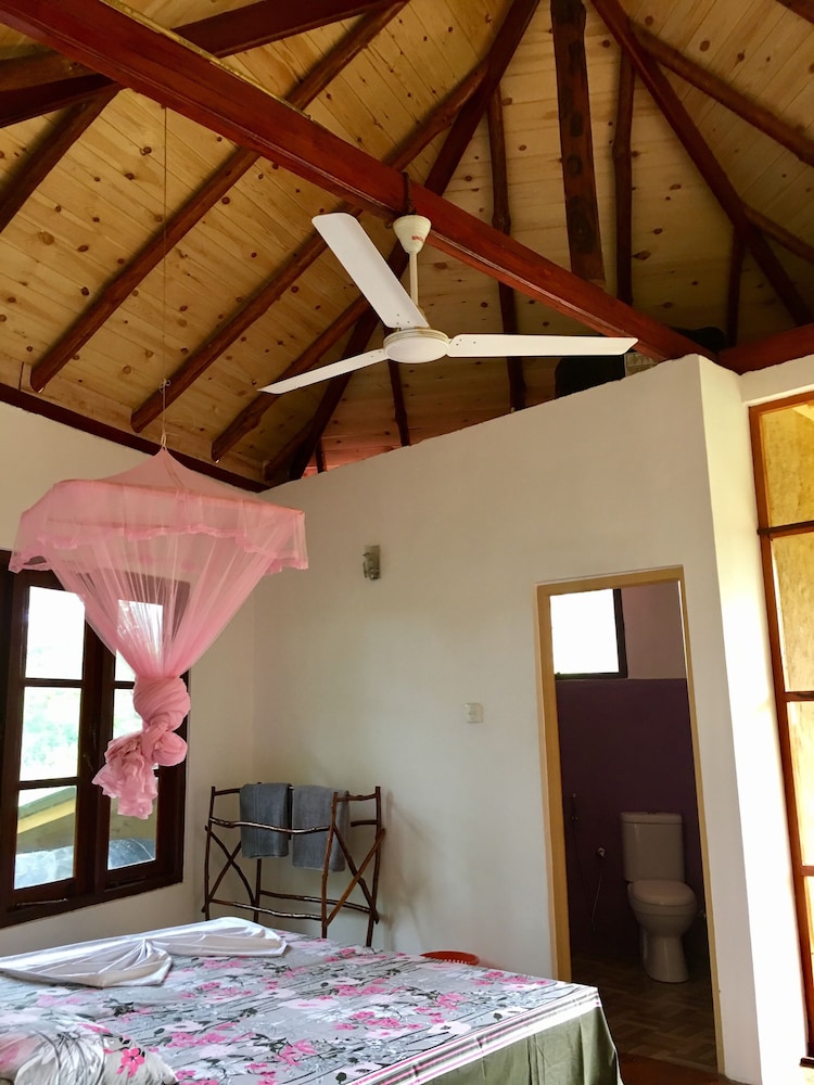 Standard Tree House, 1 Bedroom, Garden View, Garden Area photo 2