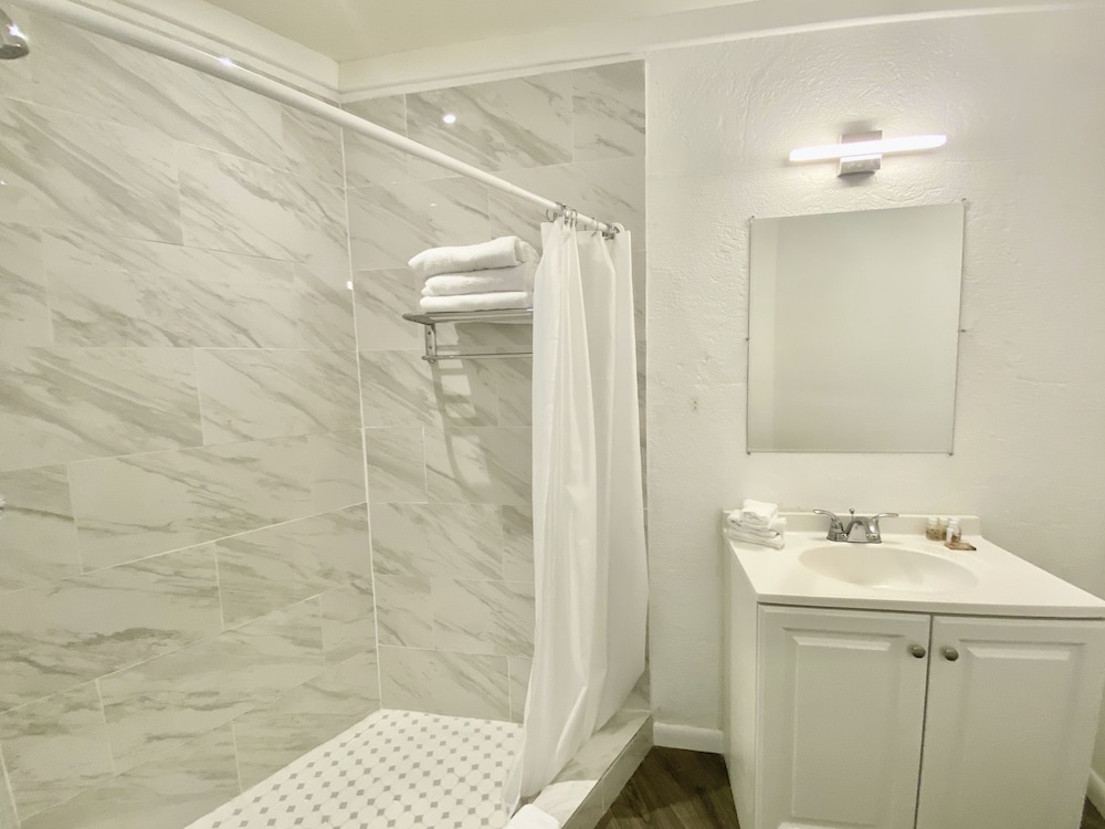 Luxury Studio, 1 King Bed, Refrigerator photo 3