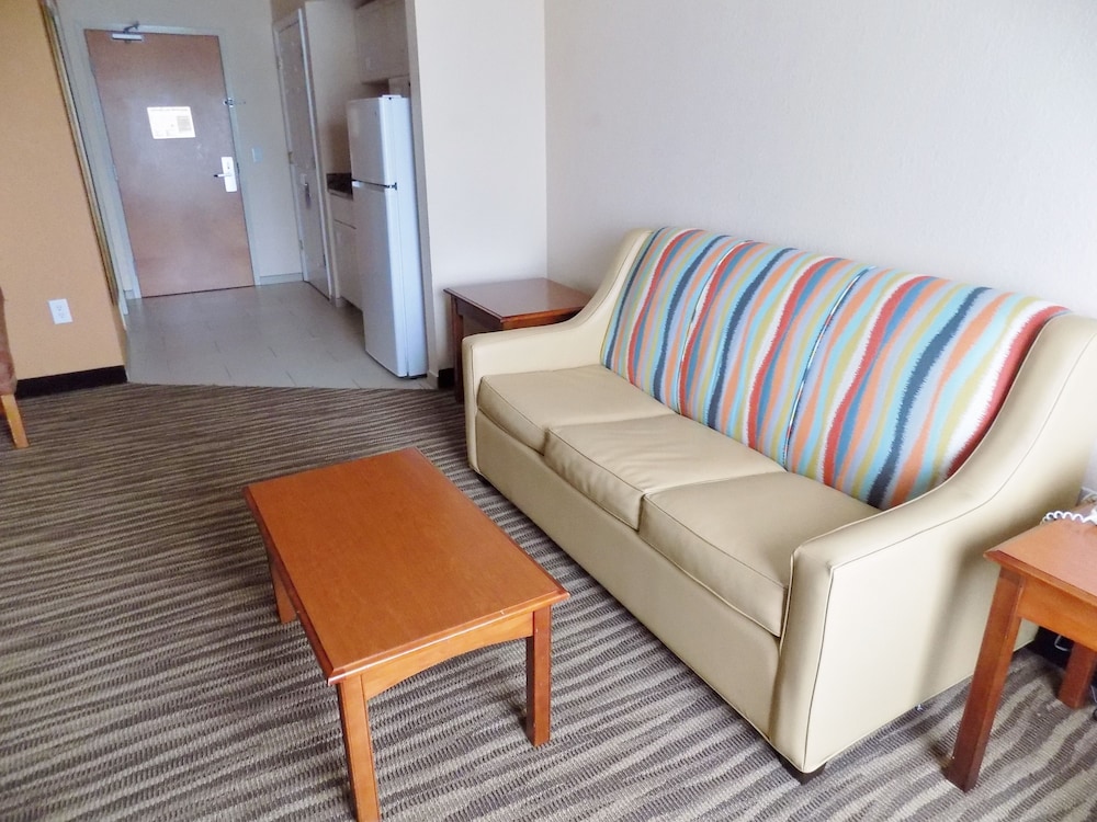 Suite, 1 King Bed, Refrigerator photo 2