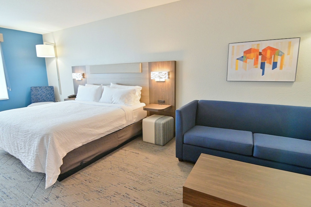 Suite, 1 King Bed - Photo 1