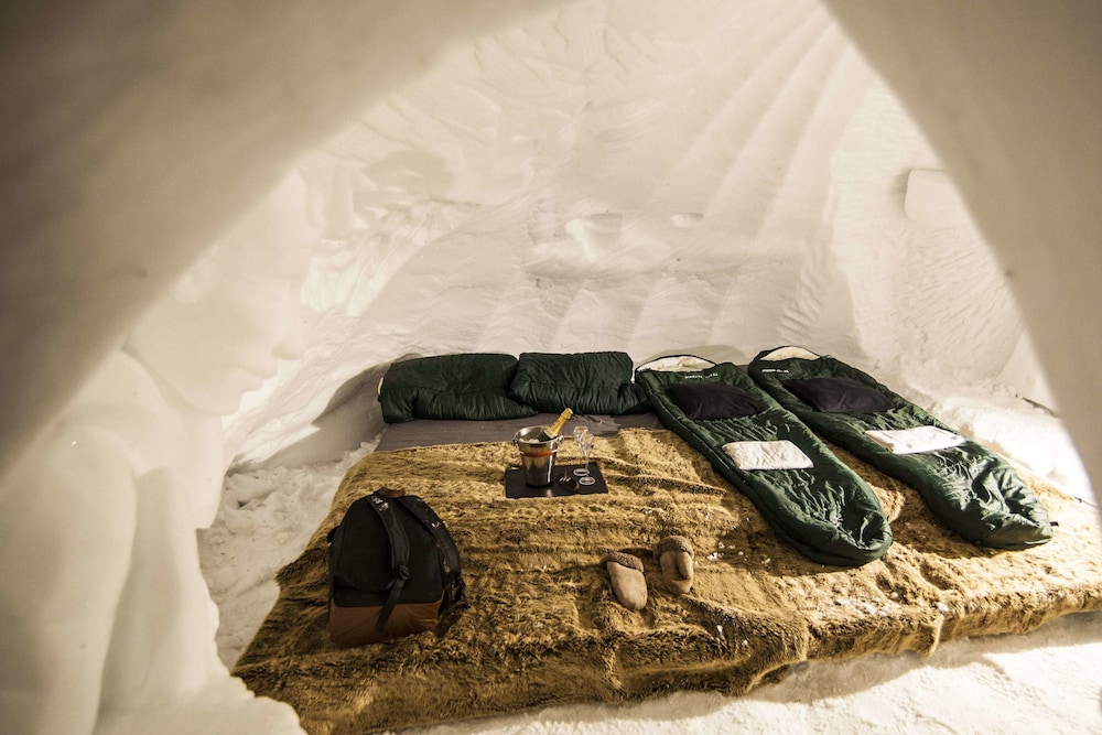 Igloo Family