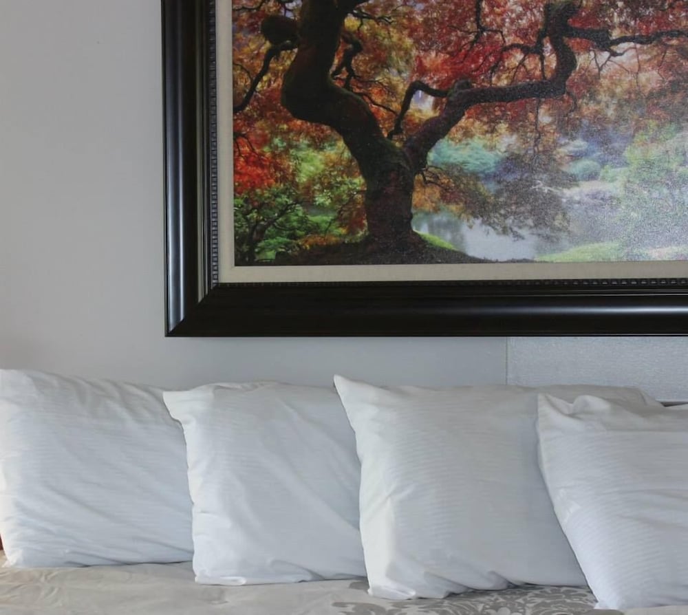 Traditional Room, 1 King Bed, Jetted Tub photo 1