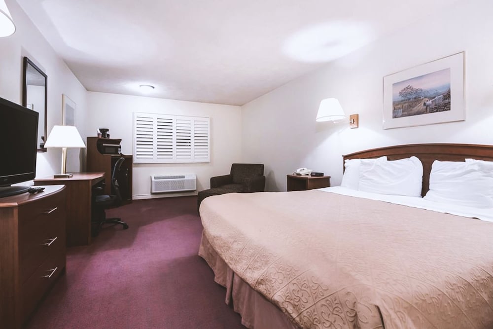 Room, 1 King Bed, Smoking