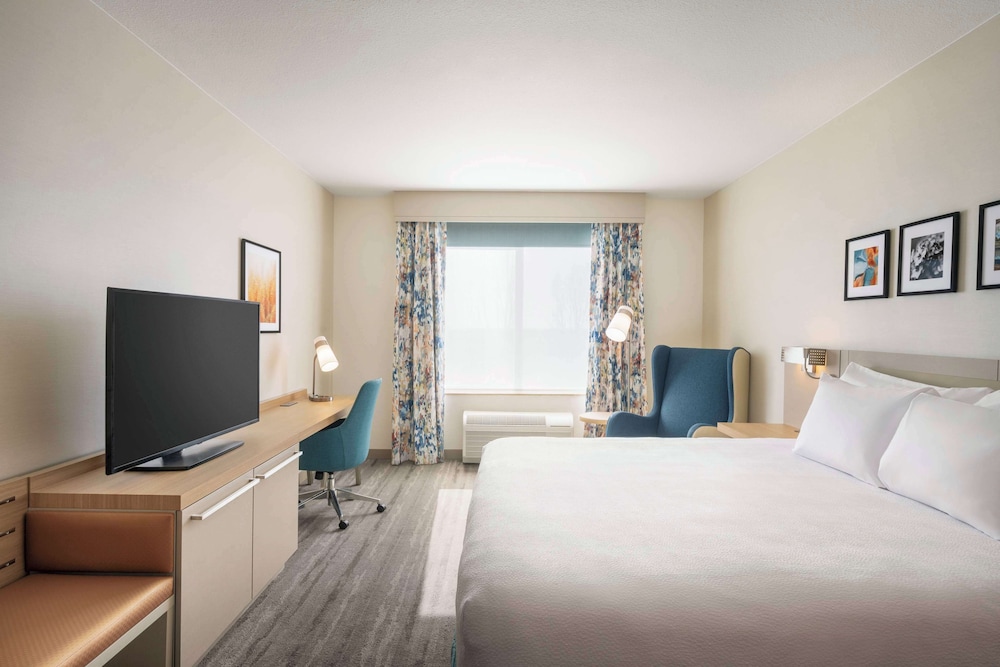 Basic Room, 1 King Bed photo 2