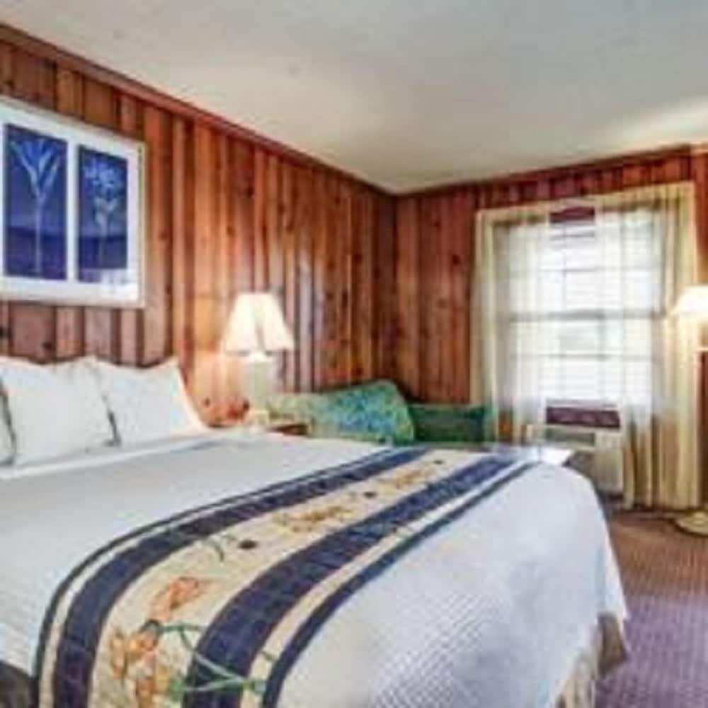 Standard Room, 1 Queen Bed, Non Smoking photo 1