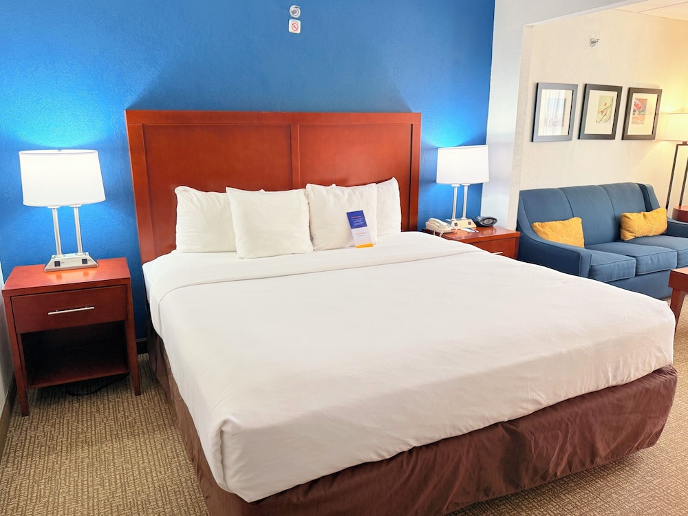 Suite, 1 King Bed, Non Smoking photo 1