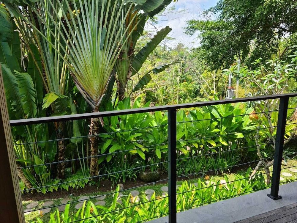 Deluxe Terrace Room - Photo 4
