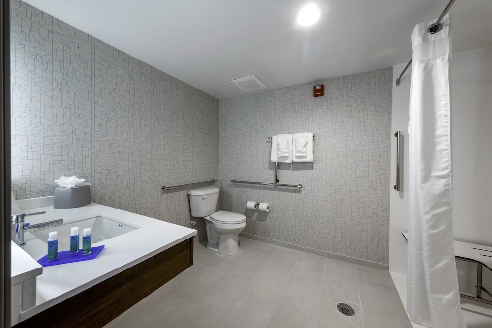 Suite, 1 King Bed, Accessible (Communication, Roll-In Shower) - Photo 1
