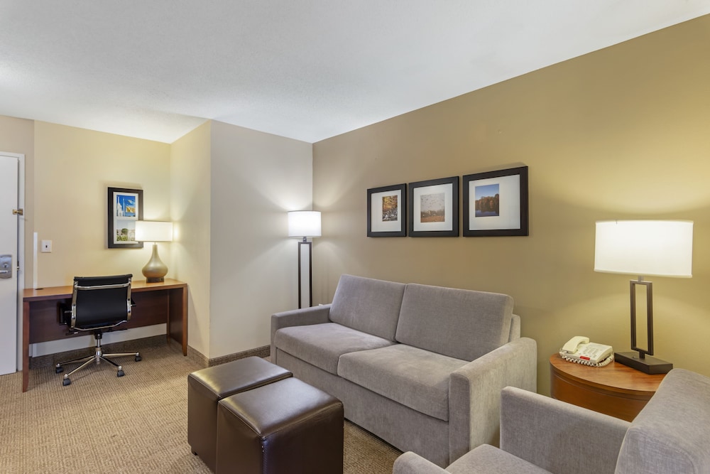 Suite, 1 King Bed with Sofa bed, Non Smoking (2 Person Sofa Bed) - Photo 1