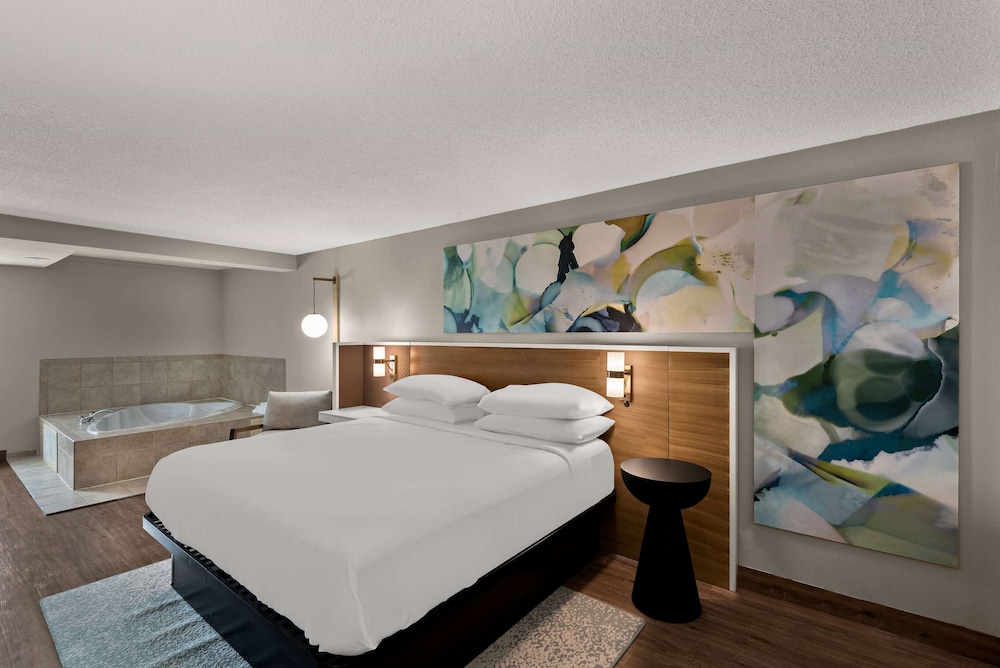 Studio Suite, 1 King Bed, Non Smoking photo 1