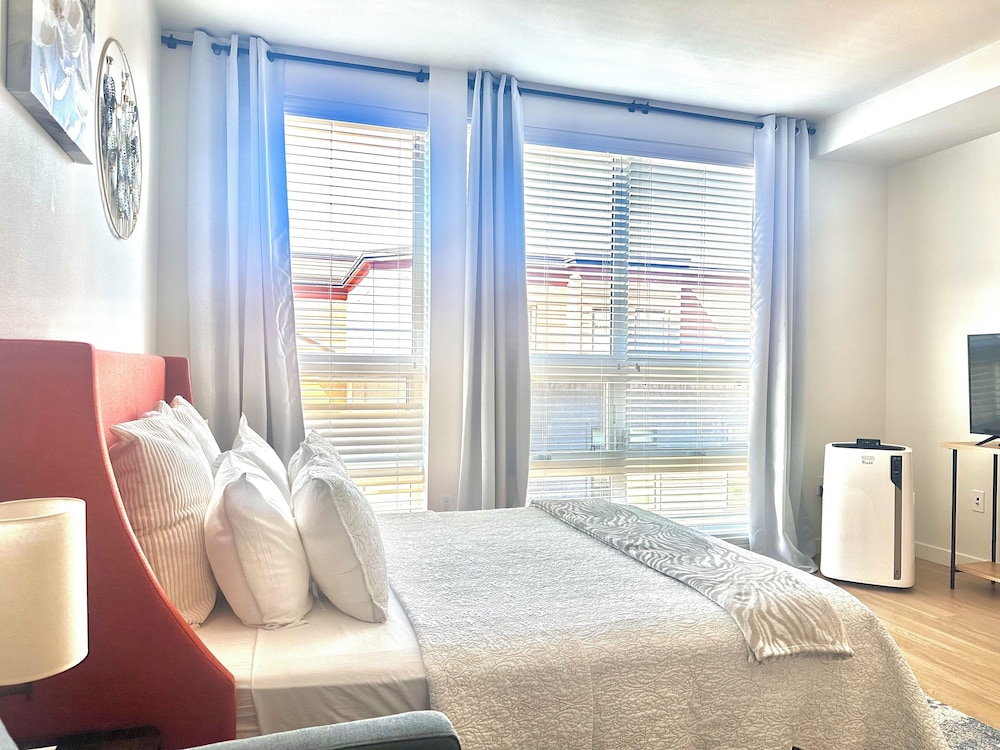 Luxury Studio Suite photo 2