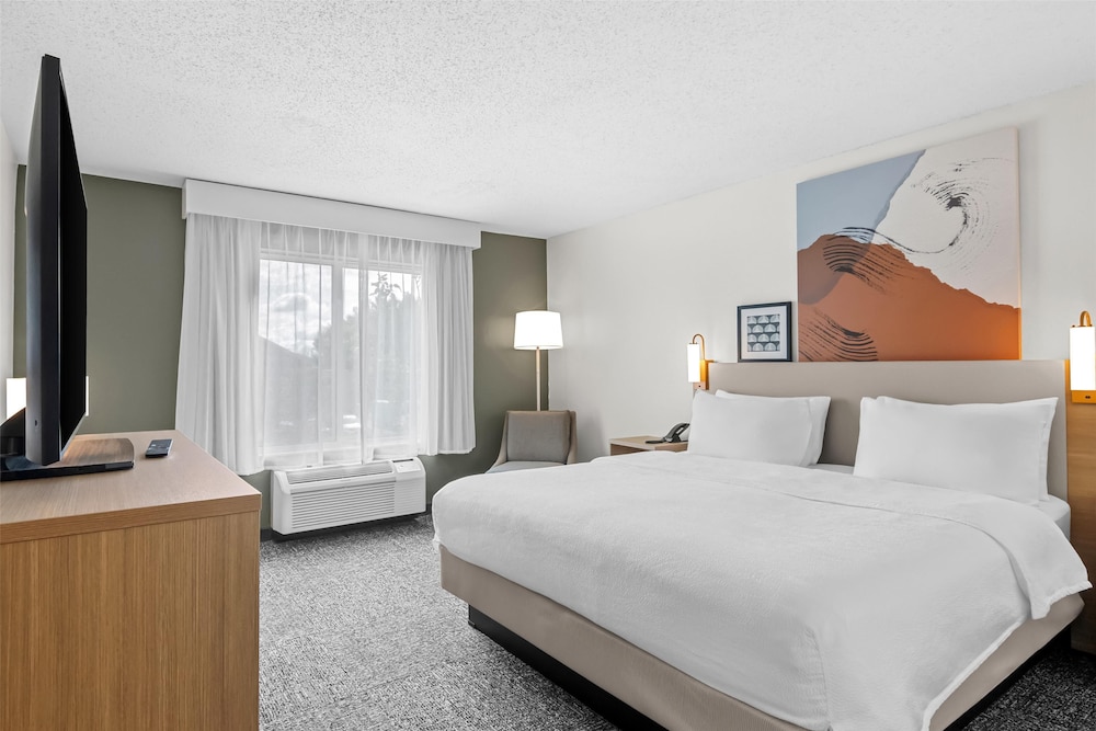 Room, 1 King Bed, Accessible, Bathtub (Mobility & Hearing) - Photo 2