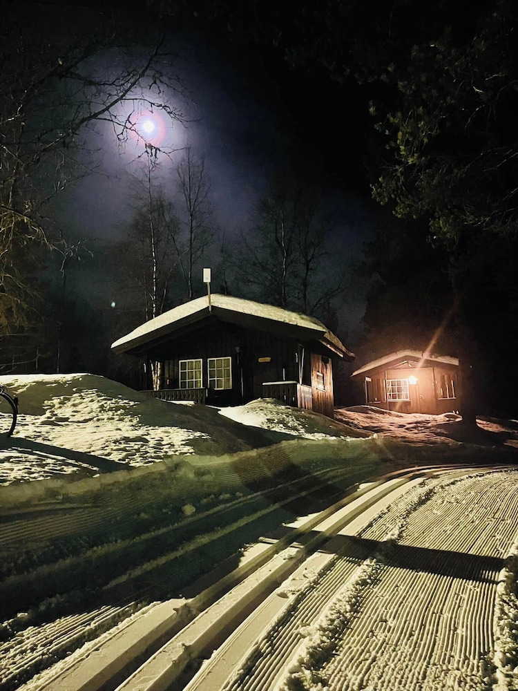 Standard Cabin photo 2