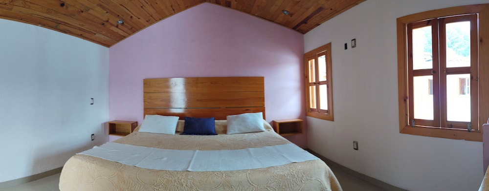 Room, 1 King Bed photo 2