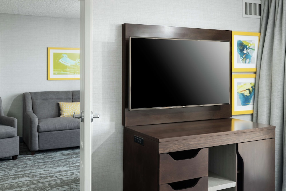 Suite, 1 King Bed, Kitchen (SofaBed & Balcony) - Photo 4