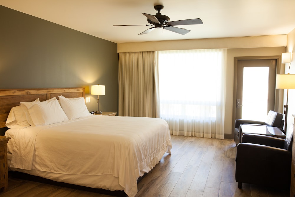 Premium Room, 1 King Bed, Accessible, Patio photo 1