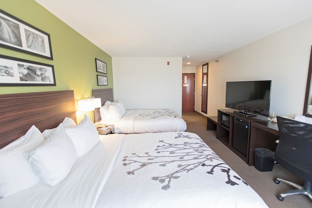 Standard Room, 2 Queen Beds, Non Smoking - Photo 7