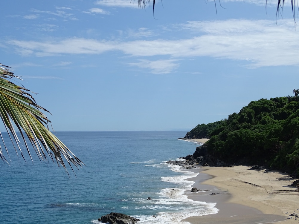 Panoramic Room, 1 King Bed, Ocean View photo 2